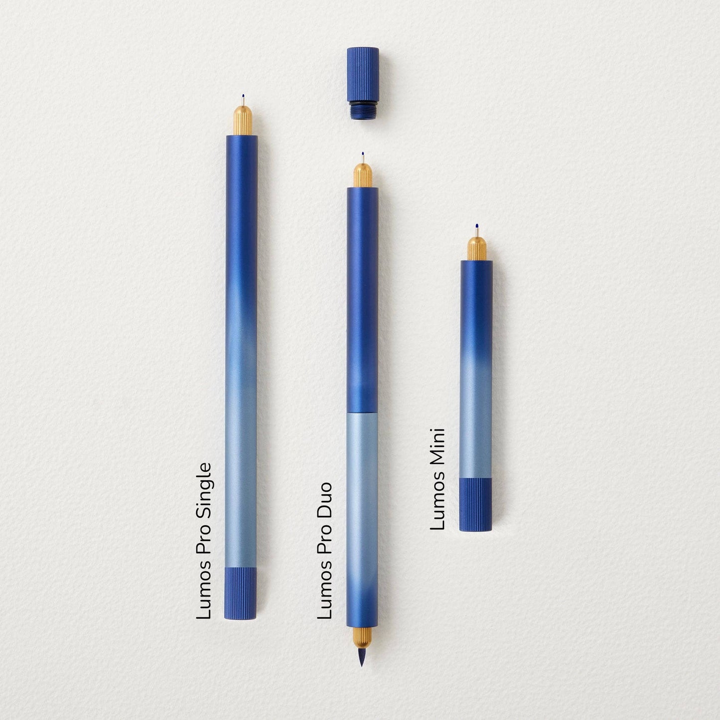 Tom's Studio - Blueberry -Lumos – Sonderedition