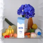Vase Milchtüte Fluid Market