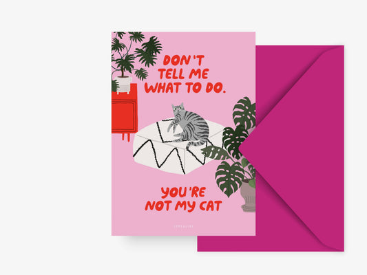 typealive - Postkarte / Petisfaction "Cats" Don't Tell Me