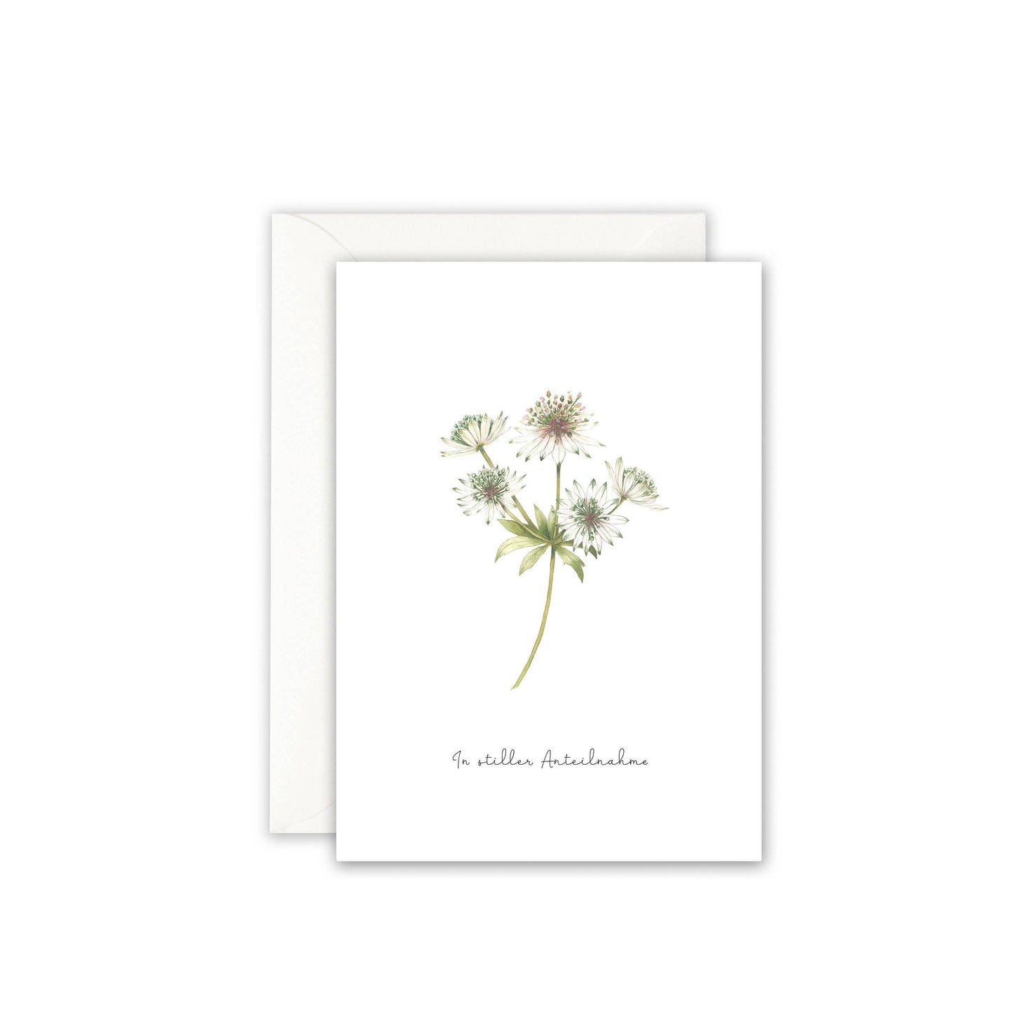 Grußkarte · In stiller Anteilnahme | Sterndolde von Leo La Douce
