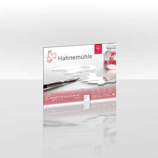 Expression Aquarellpapier (cold pressed) - Hahnemühle