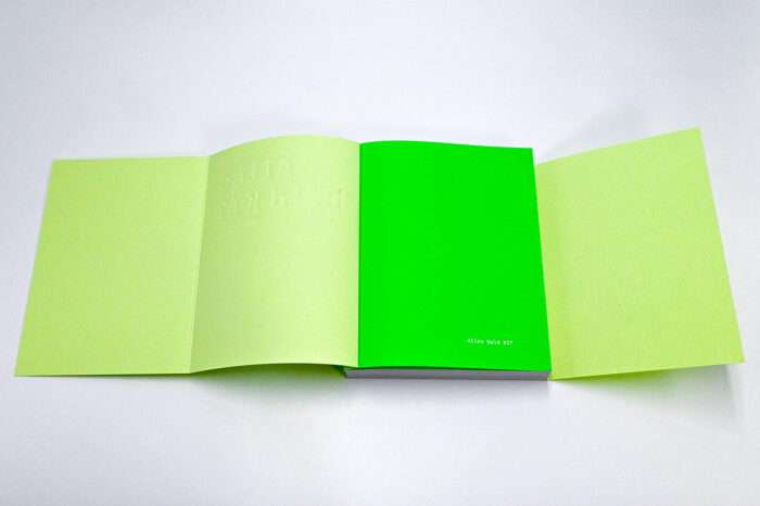 Buch Alles bald KI - NIna George/Petra Gehring (Hrsg.)