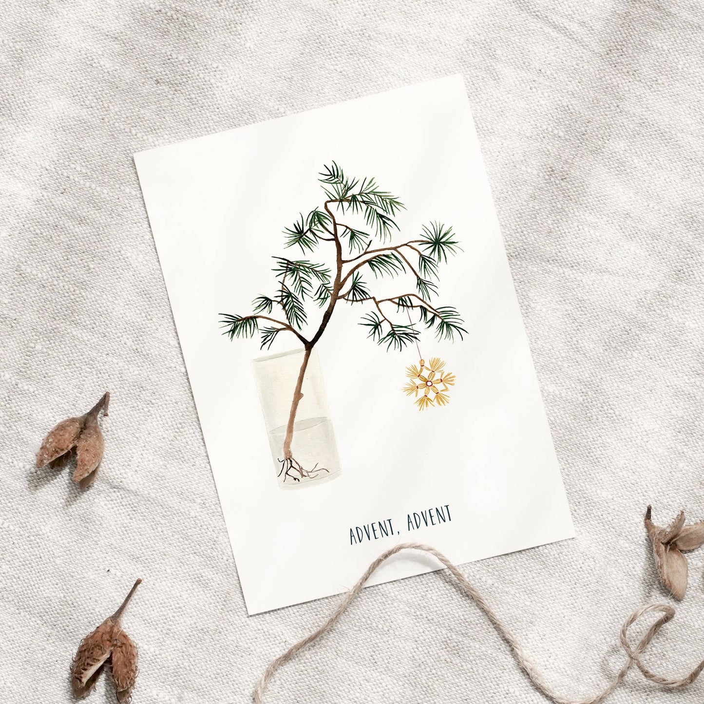 Postkarte - Adventszweig Leo La Douce