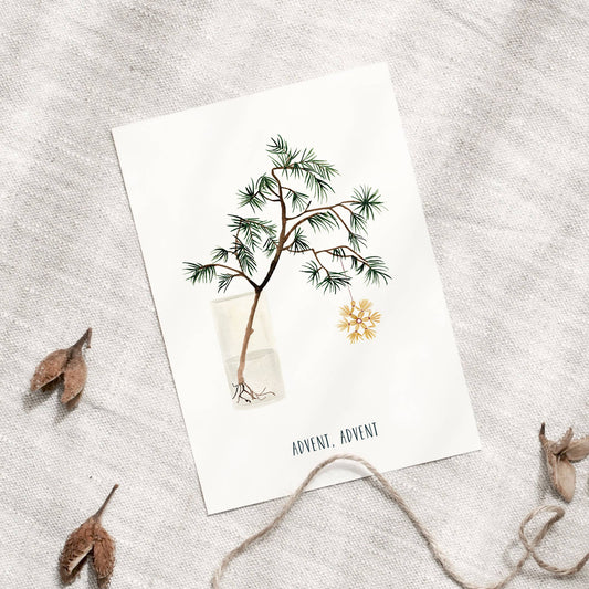Postkarte - Adventszweig Leo La Douce
