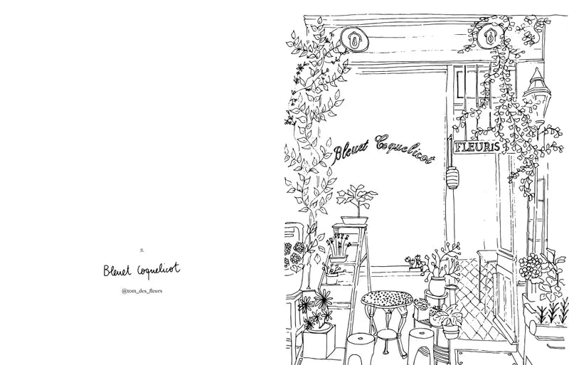 Malbuch Blumen von Zoé de Las Cases - Hachette