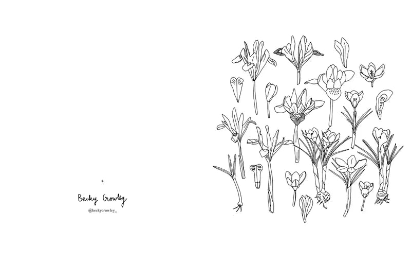 Malbuch Blumen von Zoé de Las Cases - Hachette