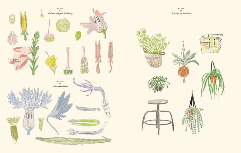 Mal- und Stickerbuch Garten Le Jardin - Hachette