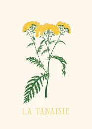 Postkartenset Blumen von Zoé de Las Cases - Hachette