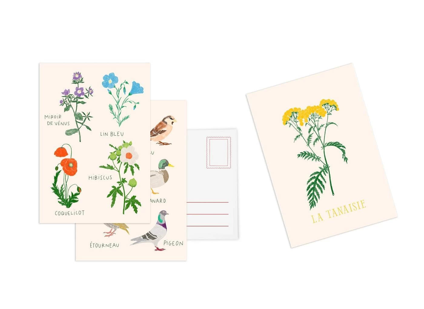 Postkartenset Blumen von Zoé de Las Cases - Hachette